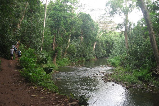 Kauai Adventure: Kayak & Hike to Secret Falls with Expert Guide - Getting to Duke’s Kayak Adventures and starting on time
