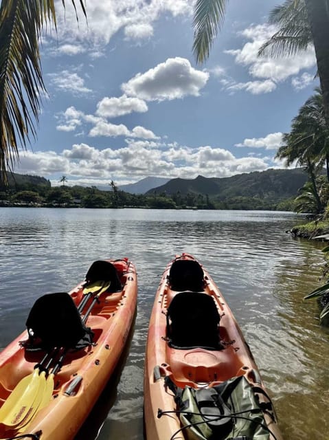 Kauai: Guided Kayak and Hike to Secret Falls - Key highlights to know before you go