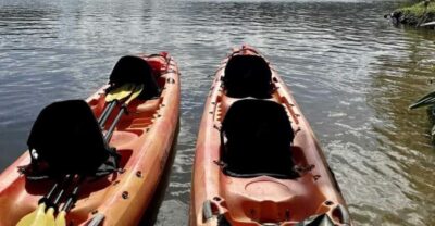 Kauai: Guided Kayak and Hike to Secret Falls - Kayaking the calm Wailua River: your 5-mile paddling rhythm