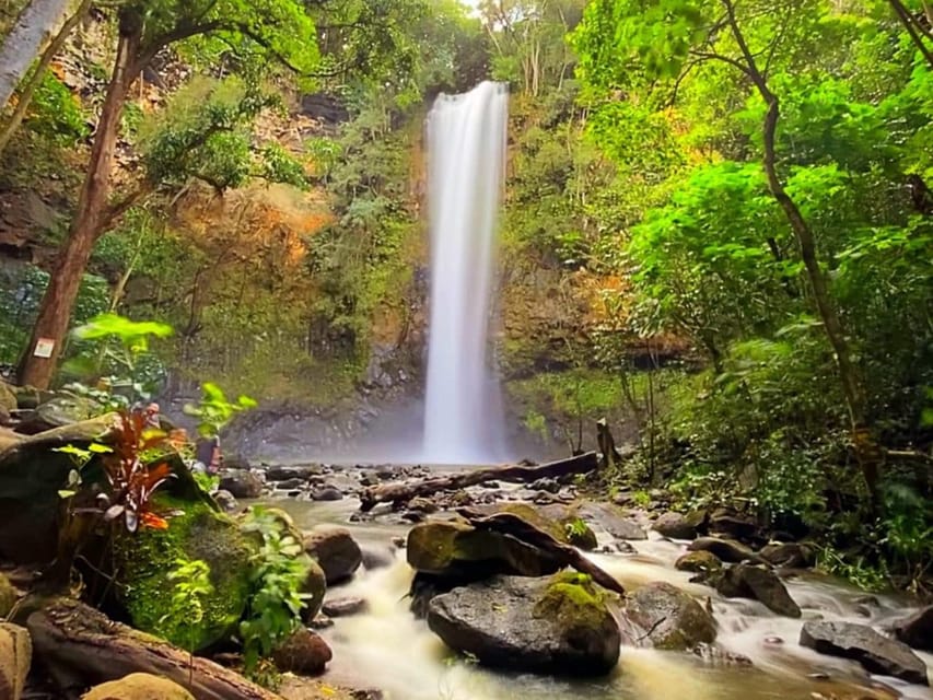 Kauai: Guided Kayak and Hike to Secret Falls - Should You Book Duke’s Kayak Adventures to Secret Falls?