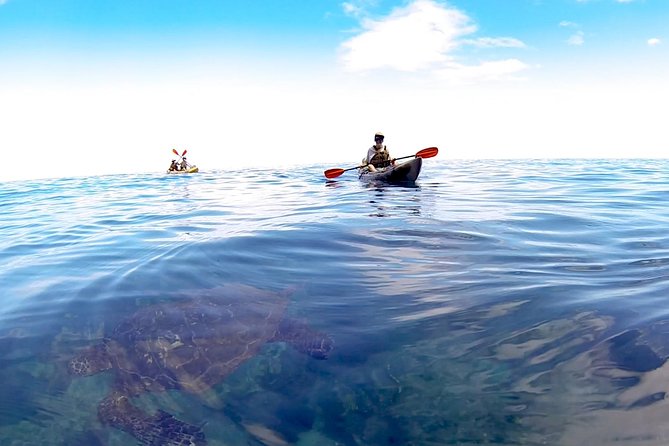Kauai Sea Kayaking 10 mile tour - Na Pali Iki (Polihale to Milolii) - Key highlights you’ll feel during the Na Pali Iki paddle