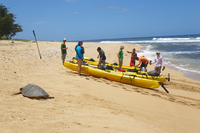 Kauai Sea Kayaking 10 mile tour - Na Pali Iki (Polihale to Milolii) - Na Pali Iki, Polihale to Miloli‘i: what this 10-mile tour really gives you