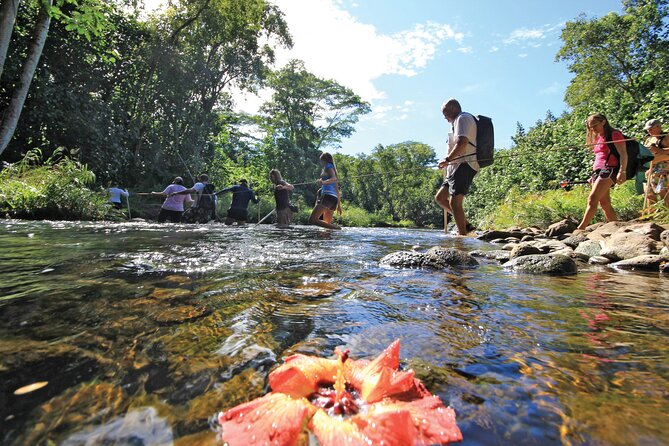 Kauai: Secret Falls Kayak and Hike - Where you start: the meeting point and why it keeps the day sane