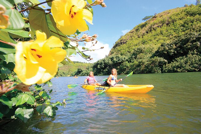 Kauai: Secret Falls Kayak and Hike - The rainforest hike to Uluwehi Falls: short distance, real conditions