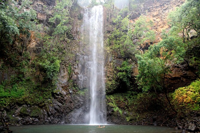 Kauai: Secret Falls Kayak and Hike - Your guide is half the experience: stories, pacing, and local details