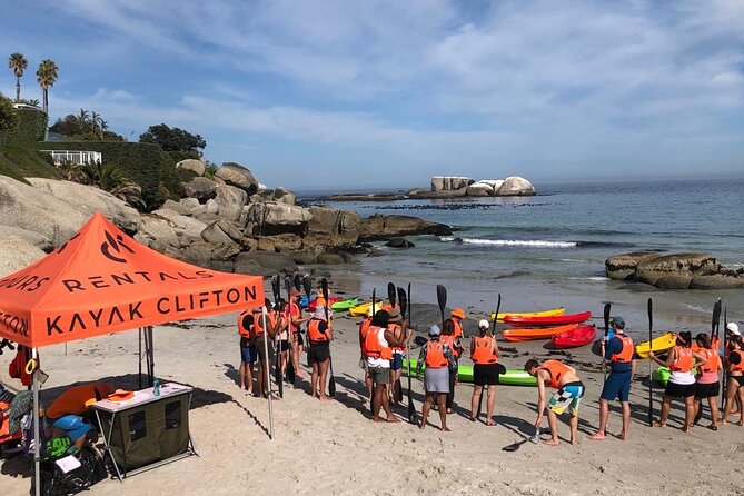 Kayak Adventure at Clifton Beach - Key highlights worth knowing before you go