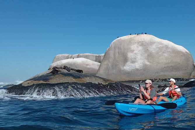 Kayak Adventure at Clifton Beach - Kelp forests and rock pools near Maiden’s Cove: the underwater payoff