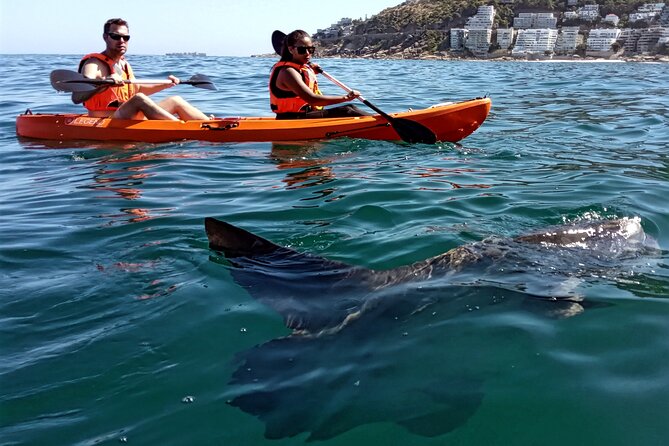 Kayak Adventure at Clifton Beach - Price and value for a 90-minute Clifton Beach experience