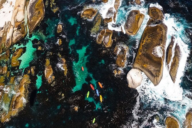 Kayak Adventure at Clifton Beach - Weather rules you should plan around (and why early booking helps)