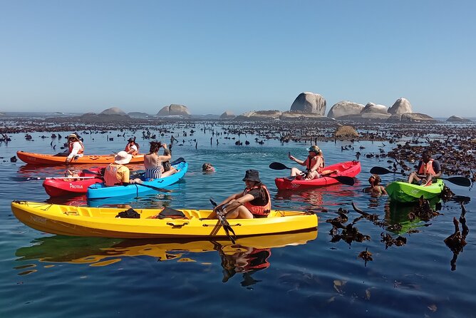 Kayak Adventure at Clifton Beach - Who this kayak outing fits best (and who might want a second look)