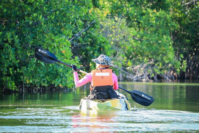 Kayak Adventure in Cancun - Who should book this mangrove kayak tour in Cancun?
