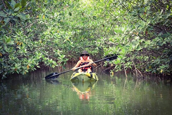 Kayak Adventure in Cancun - Should you book Go Kayak Cancun?