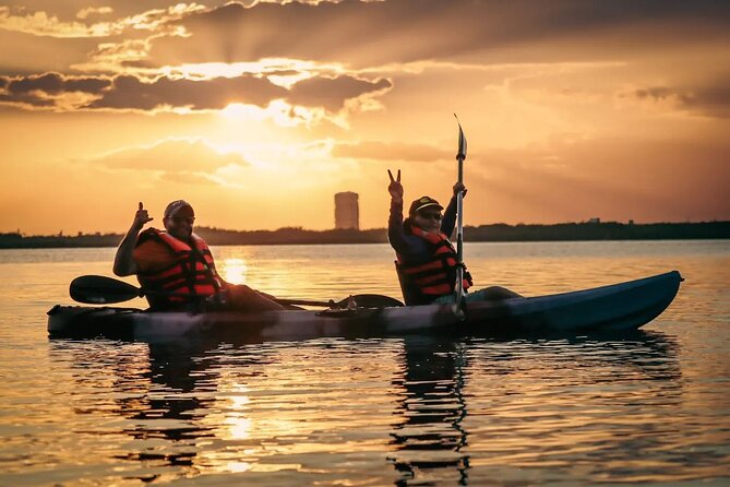 Kayak Adventure in Cancun - Birds, mangroves, and that guide-led wildlife mindset