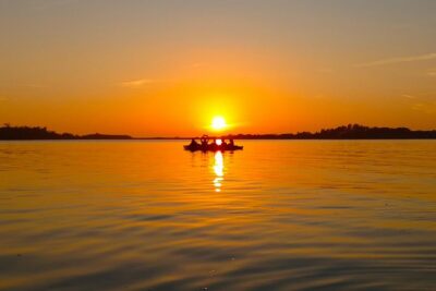 Kayak Adventure of Shell Key Preserve & Island with a Local - Key Highlights You’ll Actually Care About