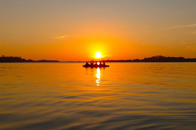 Kayak Adventure of Shell Key Preserve & Island with a Local - Key Highlights You’ll Actually Care About
