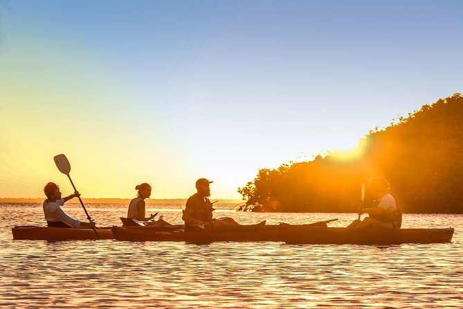 Kayak adventure through Laguna Nichupté in Cancun - From Conexión Nativa to the Kayaks: What the Start Really Means