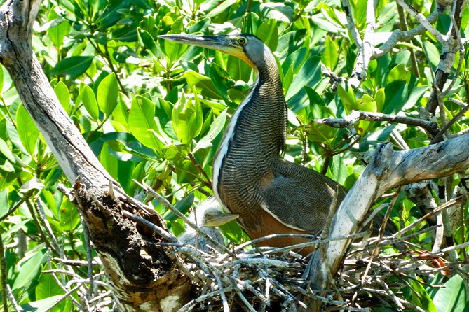 Kayak adventure through Laguna Nichupté in Cancun - How the Kayaking Works: Gear, Comfort, and Small Tweaks