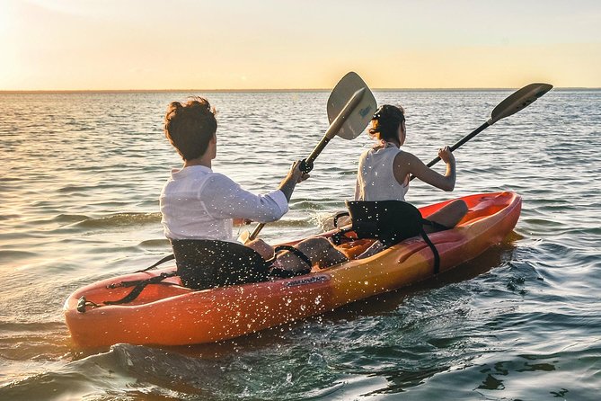 Kayak adventure through Laguna Nichupté in Cancun - Price and Real Value at Around $52