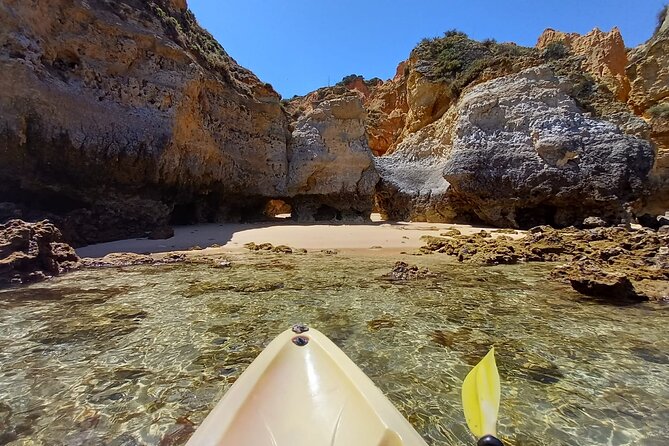 Kayak Adventure through the Ponta da Piedade Caves in Lagos - Guides and group vibe: small crew energy (including Bernardo)