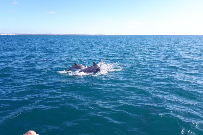 Kayak Algarve tour BENAGIL by Diamond tours - When Crowds and Wind Shift the Experience