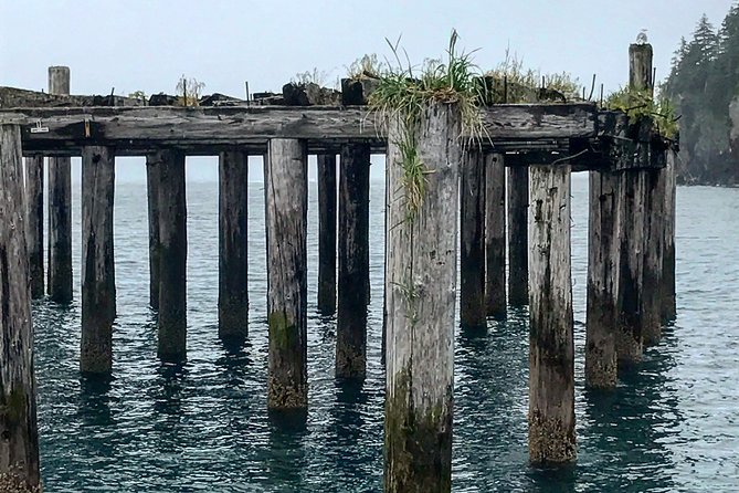Kayak and Hike to Historic WW2 Army Fort in Alaska! - Paddle to Caines Head: five miles of wildlife, waves, and quake-era scenery