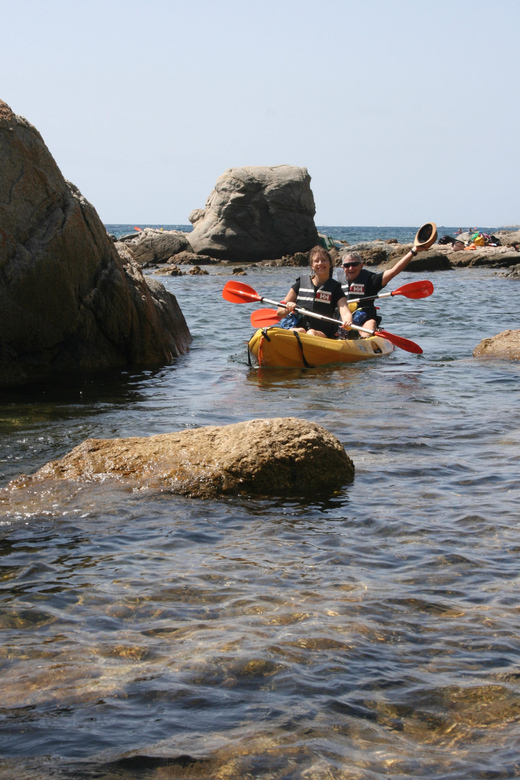 Kayak and Snorkel in Playa de Aro, Costa Brava - Snorkeling in Clear Mediterranean Water: What You’ll Likely See