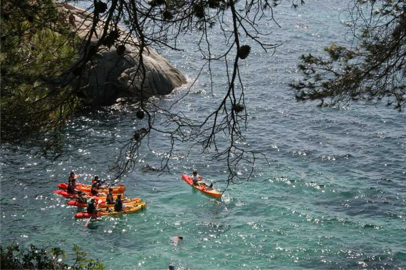 Kayak and Snorkel in Playa de Aro, Costa Brava - Meet at Cavall Bernat in Platja d’Aro: The Start That Sets You Up
