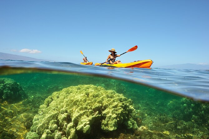 Kayak and Snorkel: Maui West Shore - Kayaking Maui West Shore With Real Reef Time