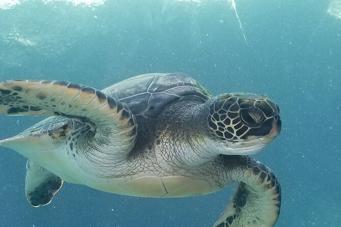Kayak and Snorkel: Maui West Shore - The 2.5-Hour Paddle: Easy Distance, Guided Direction