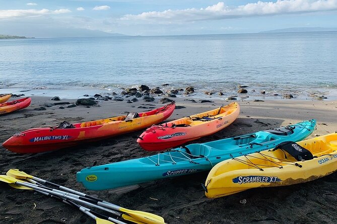 Kayak and Snorkel: Maui West Shore - Guides and Group Size: Why Up to 10 Changes Everything