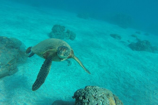 Kayak and Snorkel: Maui West Shore - What’s Included: Gear, Life Jackets, and Food That Keeps You Going