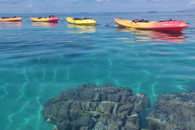 Kayak and Snorkel: Maui West Shore - Timing, Distance, and Your Expectations