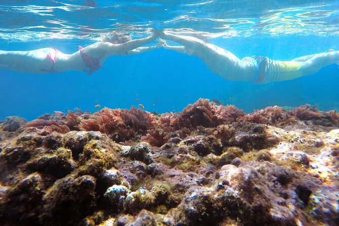 Kayak and Snorkeling Tour in Underwater Nature Reserve Garajau - How guides shape the experience (and why that matters)