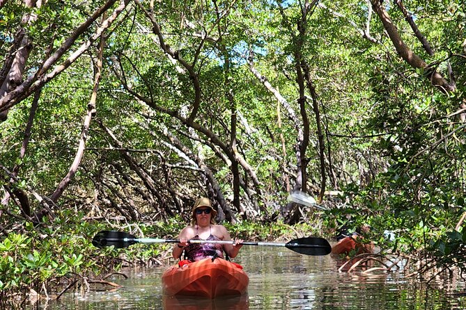 Kayak and SUP Rentals - Big Hickory Island - Fort Myers Beach, FL - Big Hickory Island: Why this paddle route feels special