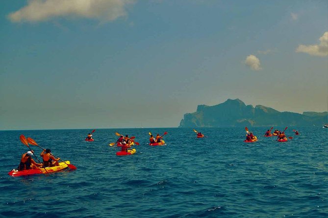 Kayak & Coasteering - Insurance and a small group: Peace of mind without the lecture