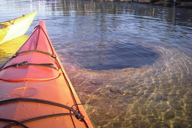 Kayak Day Paddle on Yellowstone Lake - The Paddle Instruction Part You’ll Actually Use