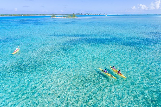 Kayak Eco Tour - Key highlights at a glance