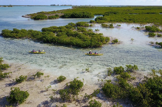 Kayak Eco Tour - The Beach Swim Moment (and Why It Feels Like a Treat)