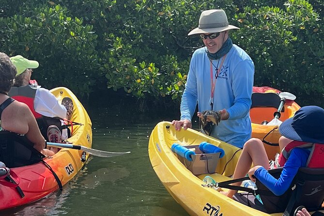 Kayak Eco Tour in Don Pedro Island - The master naturalist angle: history and ecology that connect to your paddle