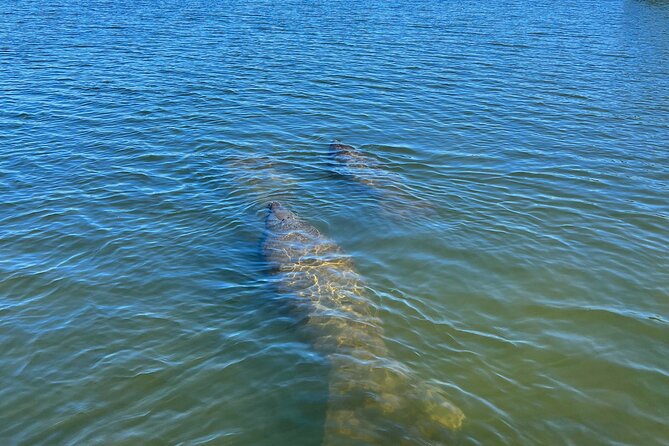 Kayak Eco Tour in Don Pedro Island - Gear, safety briefing, and how “included” really helps