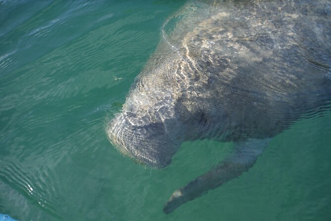 Kayak Eco Tour in Don Pedro Island - Weather, timing, and small logistics that affect your day