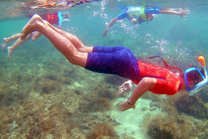Kayak excursion in Playa de Aro - The best part for many people: the snorkeling swim break