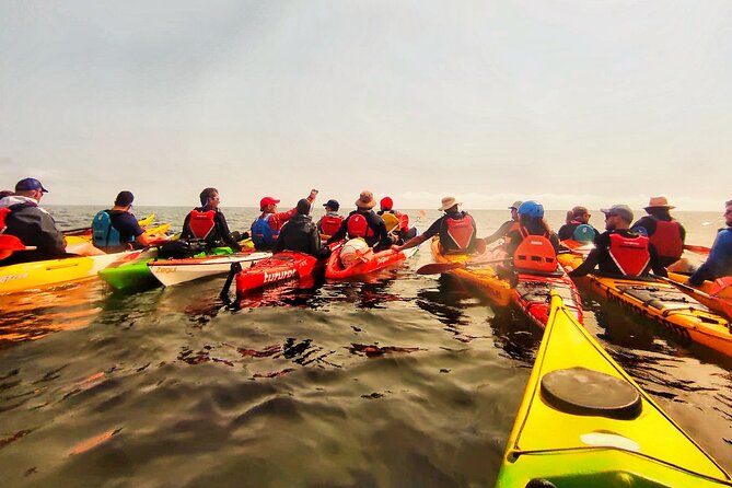 Kayak excursion to Cova dels Coloms from Platja Mascarat - Snorkeling equipment included: why that’s a real win