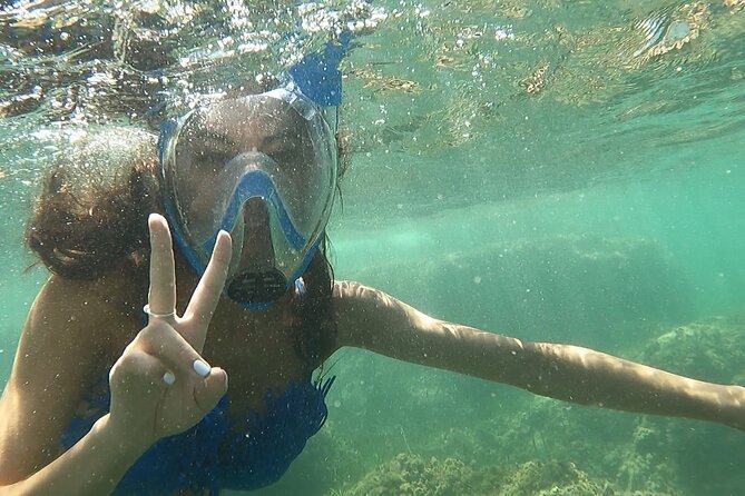 Kayak excursion to Cova dels Coloms from Platja Mascarat - Where to meet at Playa del Mascarat (and how the day ends)