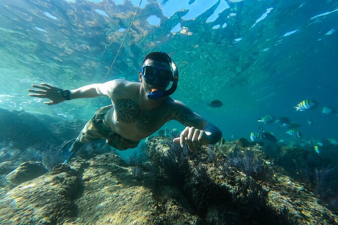 Kayak Expedition to the Arch of Cabo San Lucas, Lovers Beach & Snorkel - Price and value: what $90 really covers