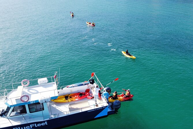 Kayak Experience in Ponta da Piedade - The End: Swimming Near the Main Boat (Yes, Expect Cold)
