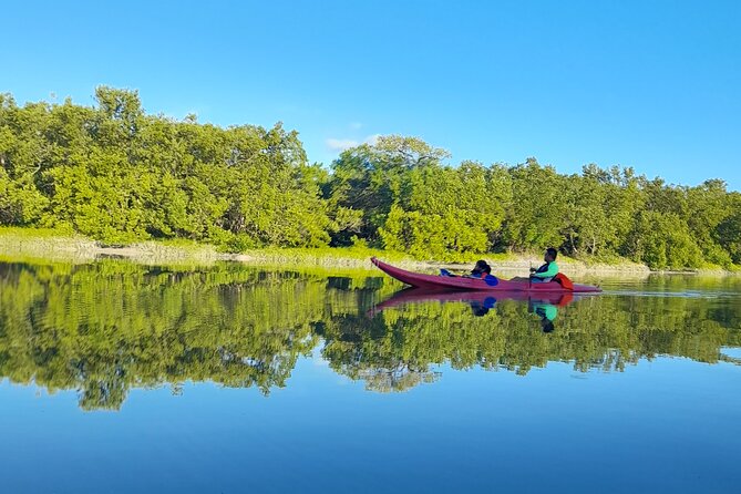 Kayak Experience in the Mangroves of Holbox Island - Price and Value: Is $56.75 Worth It?
