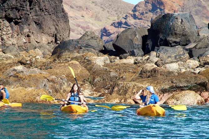 Kayak Experience @ Ponta de São Lourenço - Water time, wildlife spotting, and photo tips that actually matter