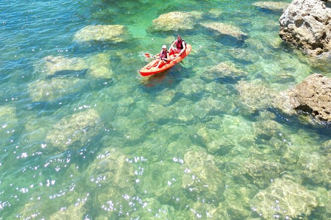 Kayak Experience with a Local - Key highlights to look for before you book