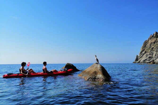 Kayak experience with Carnassa Tour in Cinque Terre + Snorkeling - Your Guide Makes (or Breaks) the Day